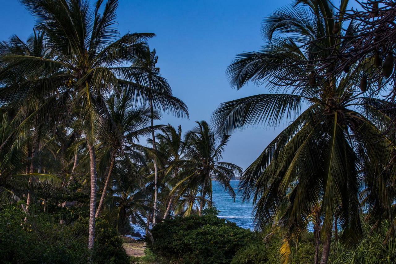 فيلا Msambweni Beach House المظهر الخارجي الصورة